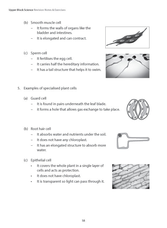 Upper Block Science Revision Notes and Exercises