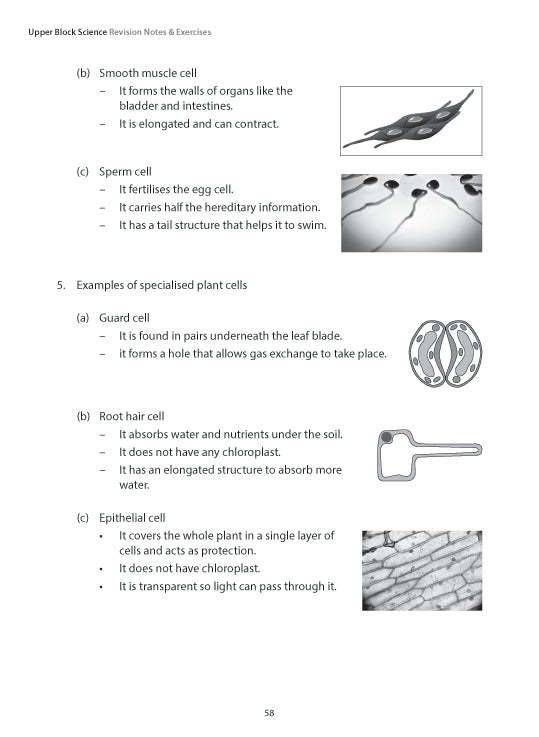 Upper Block Science Revision Notes and Exercises