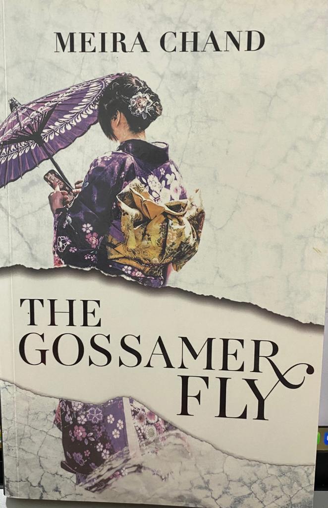 Gossamer Fly