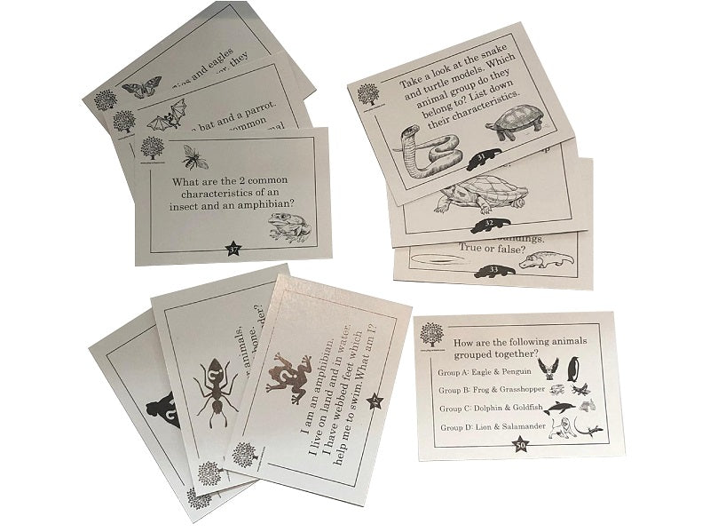 Animal Classification Game