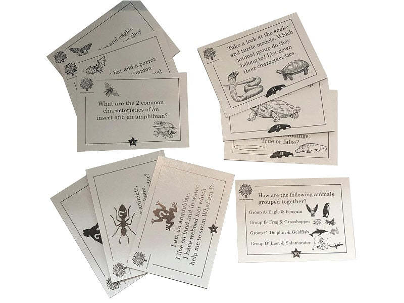 Animal Classification Game