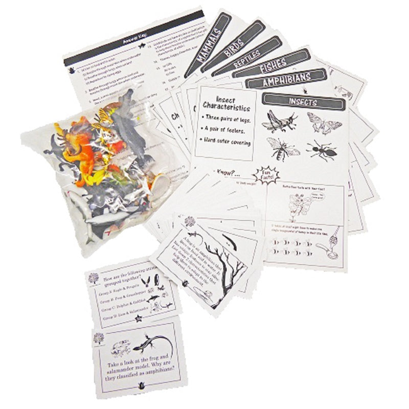 Animal Classification Game