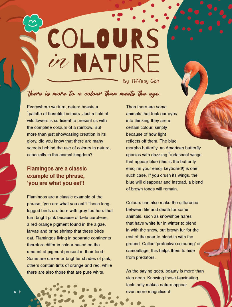 i | English Enrichment Magazine