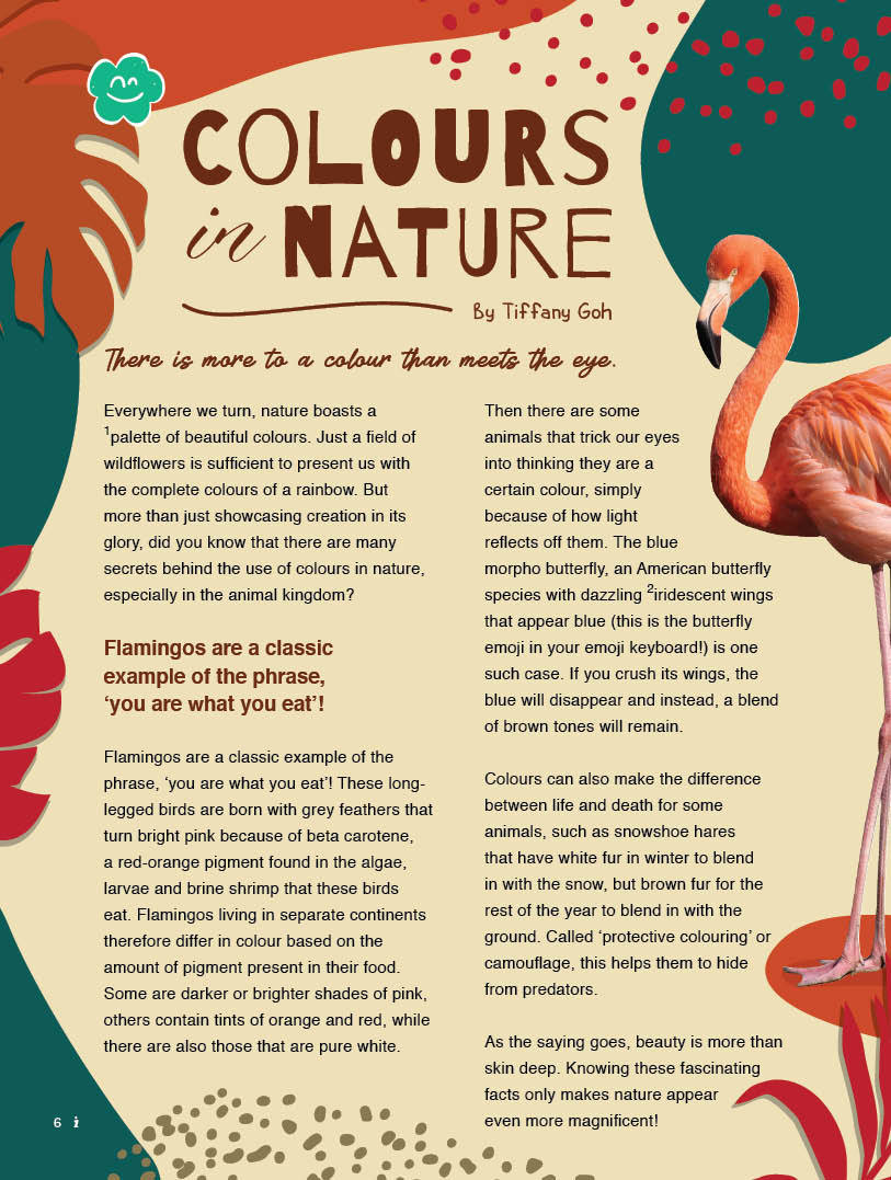 i | English Enrichment Magazine