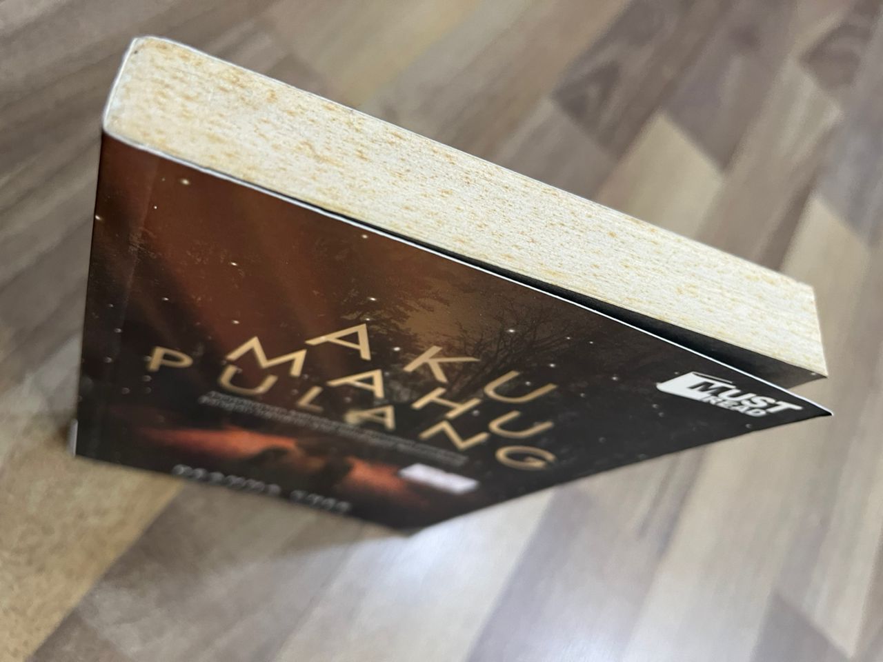 AKU MAHU PULANG (DEFFECT) 