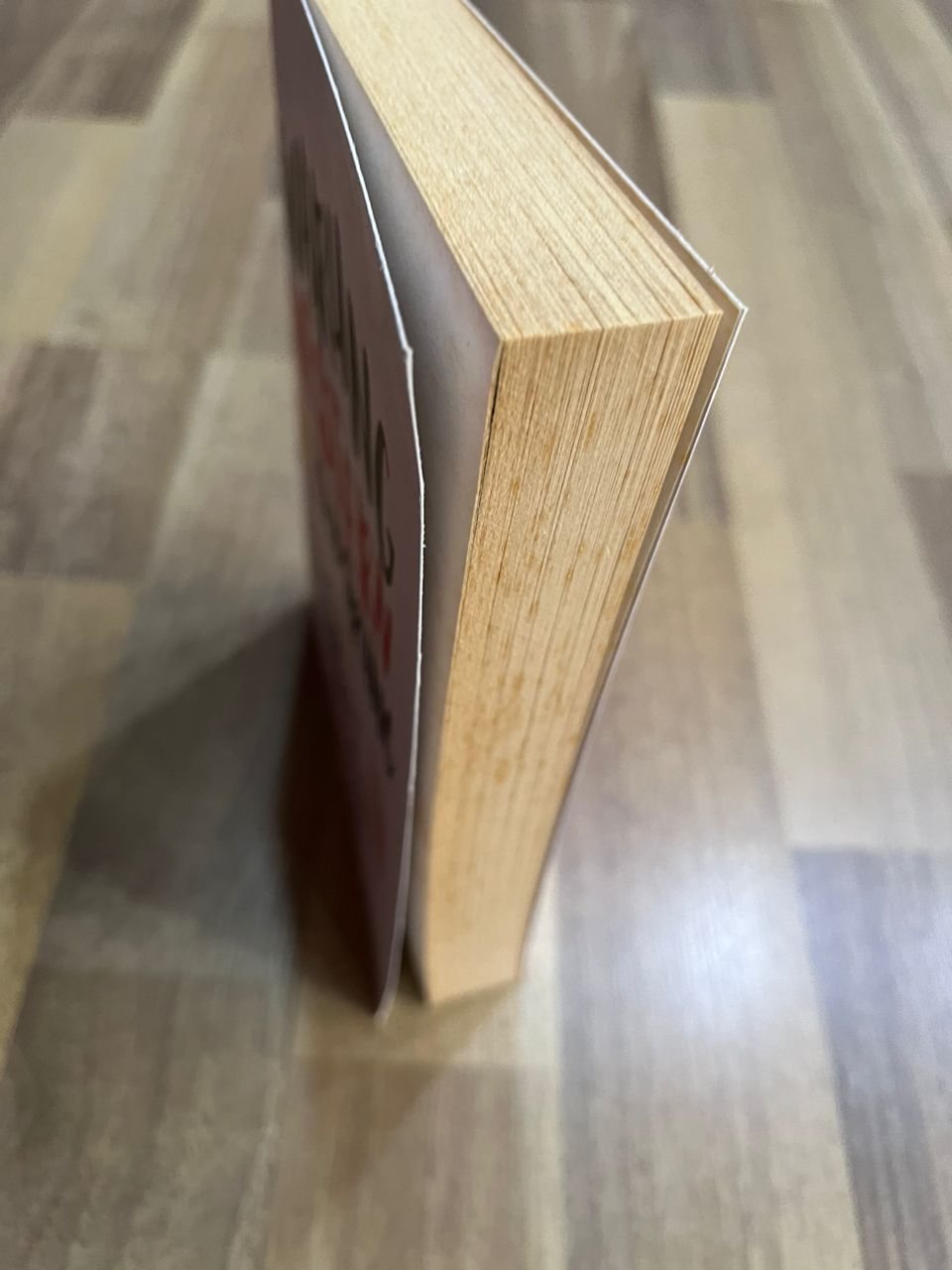 WARUNG WESTERN TEPI KAMPUNG (DEFFECT)