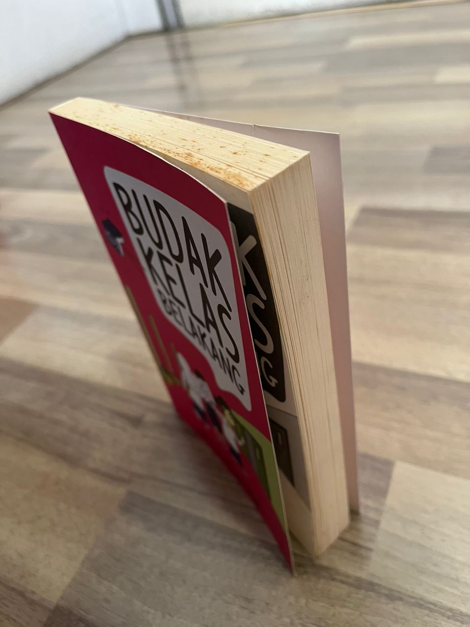 BUDAK KELAS BELAKANG (DEFFECT)