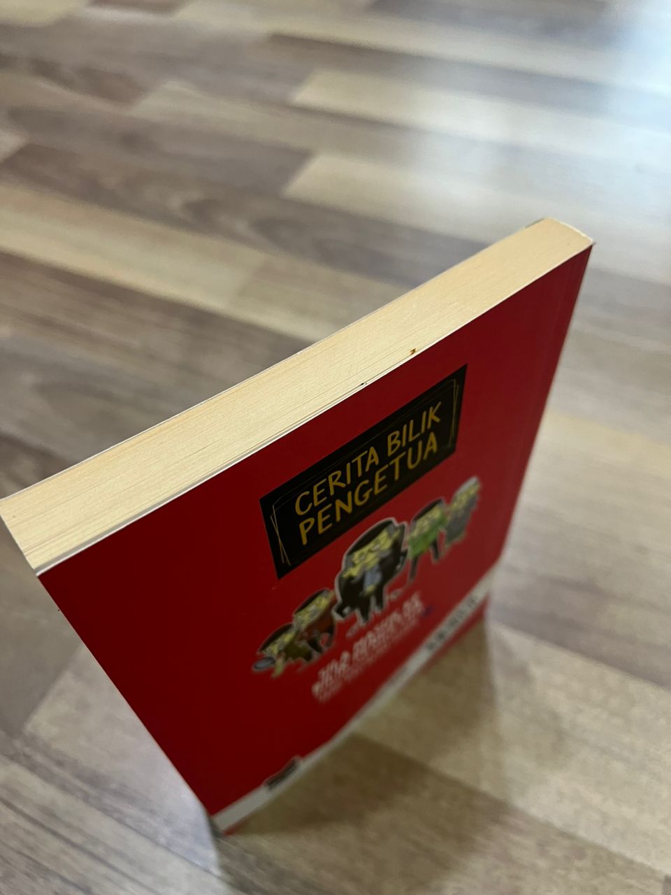 CERITA BILIK PENGETUA (DEFFECT)