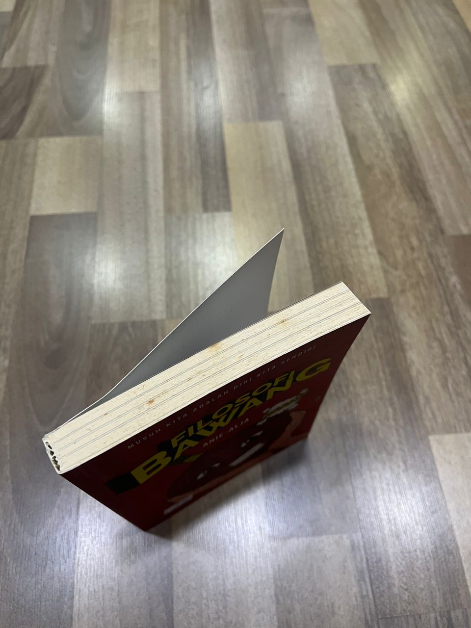 FILOSOFI BAWANG ( DEFFECT)