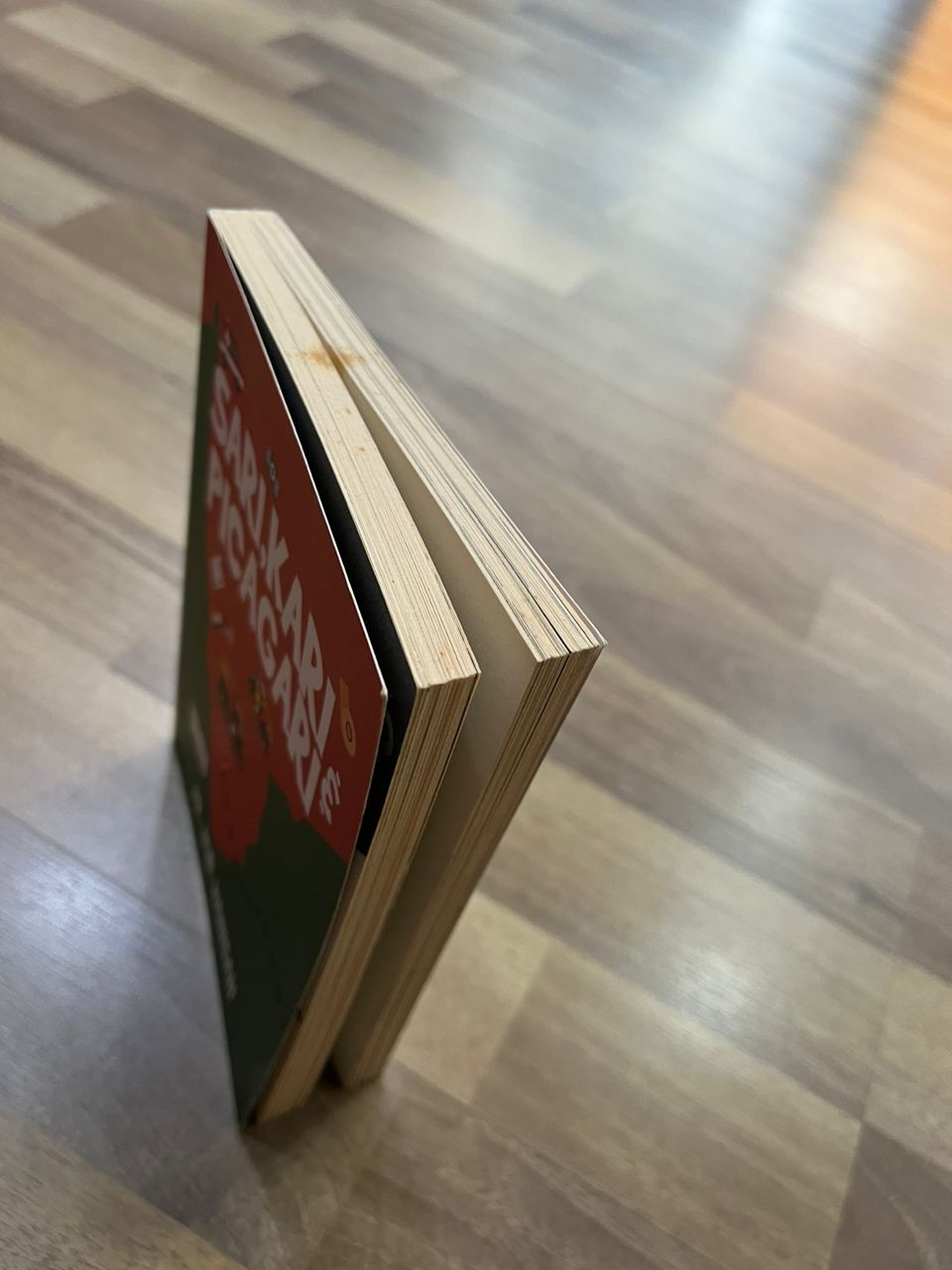 SARI,KARI, & PICAGARI(DEFFECT)