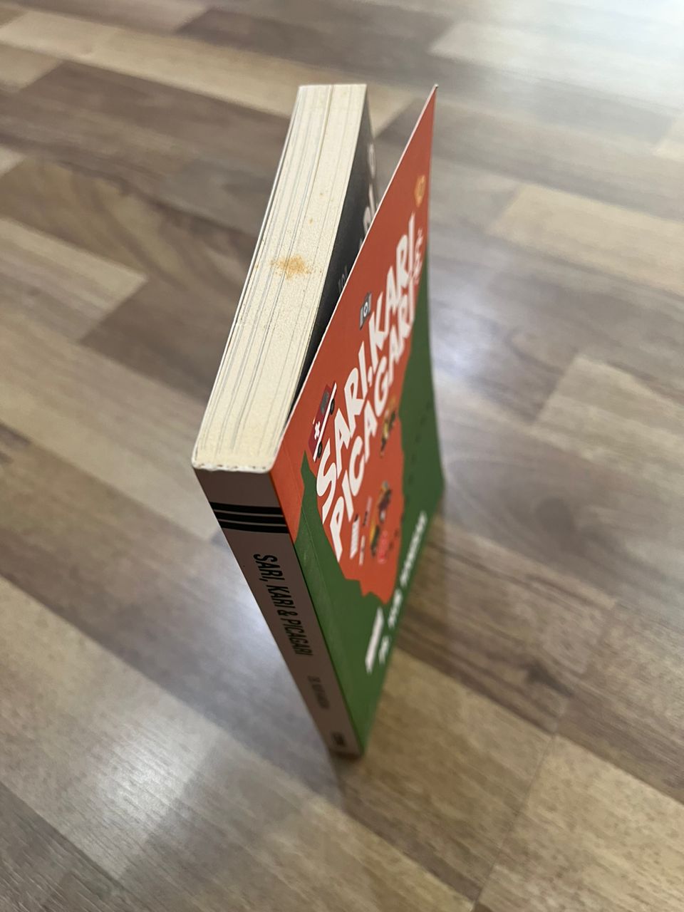 SARI,KARI, & PICAGARI(DEFFECT)