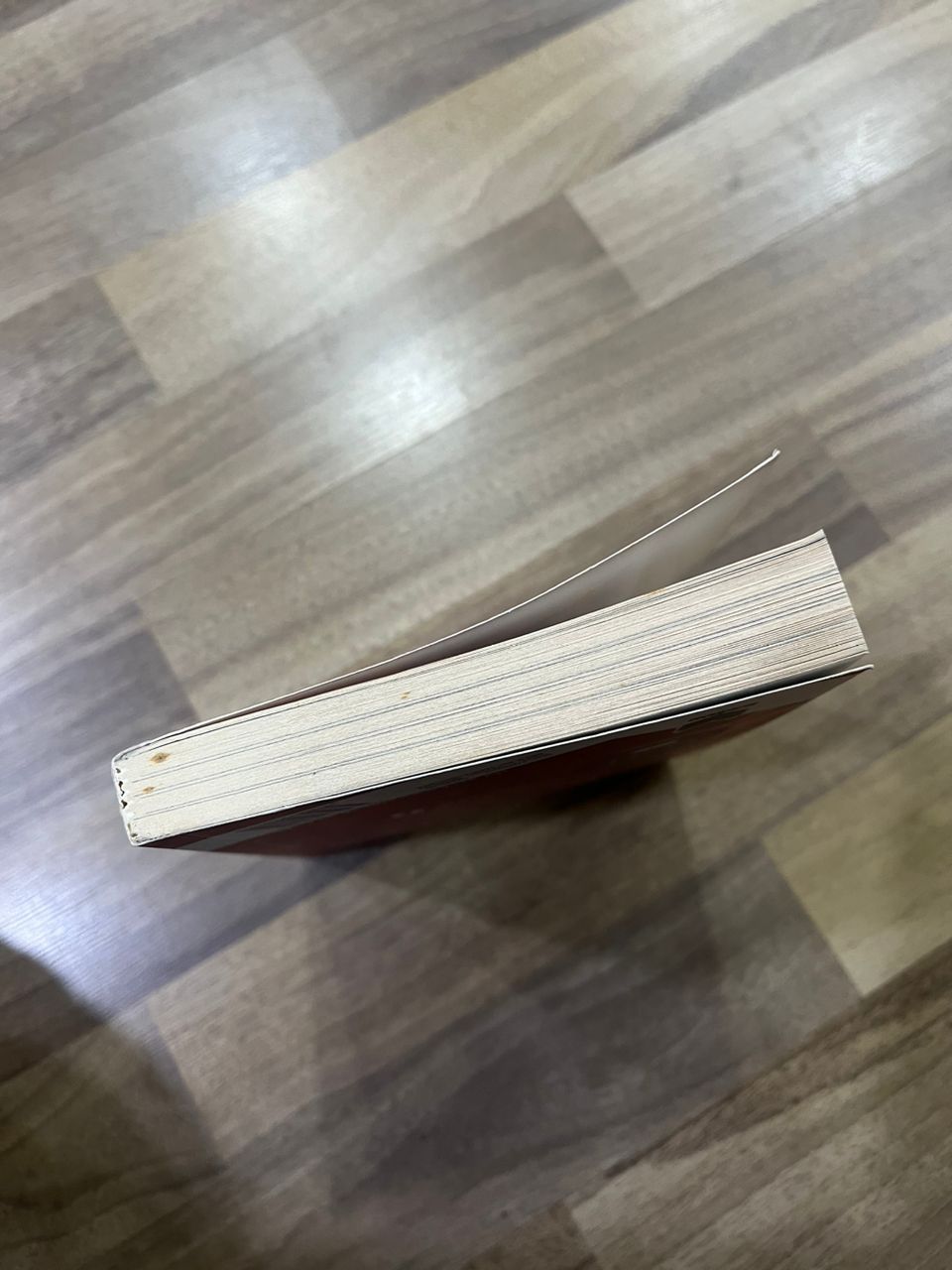 FILOSOFI BAWANG ( DEFFECT)