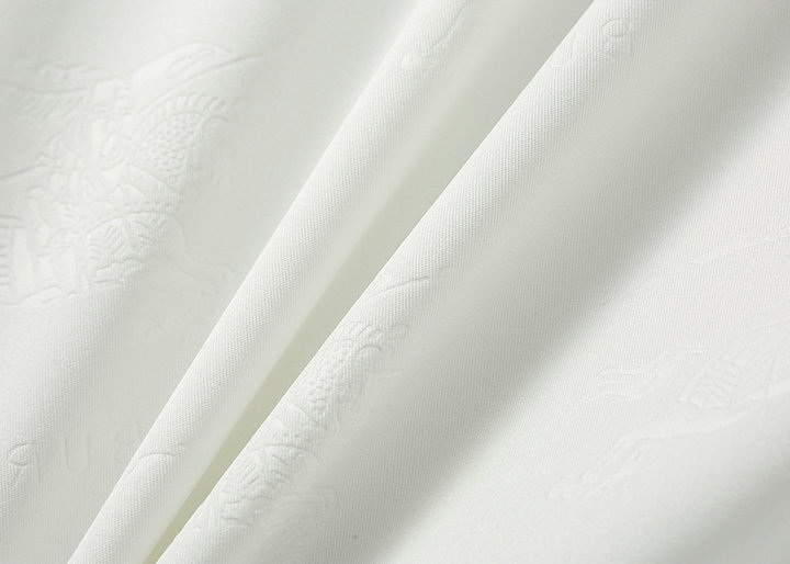 Burberry バーバリー  長袖シャツ 2カラー