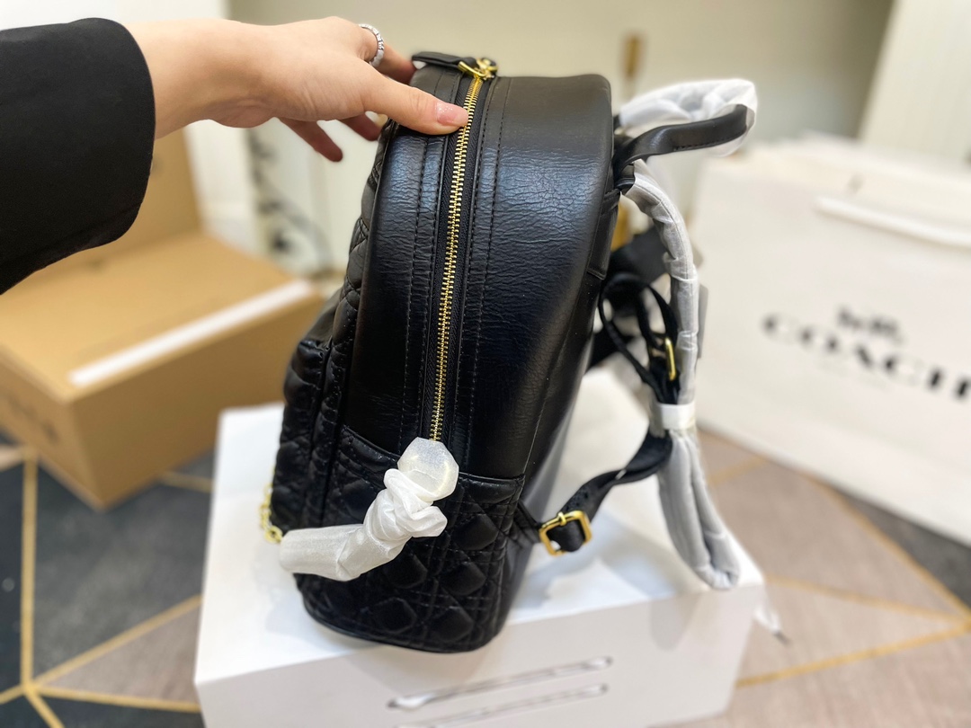 【2024】【DIOR  公式旗艦店】 ディオール リュックサック 当日出荷 好評に付き再入荷！26*30CM