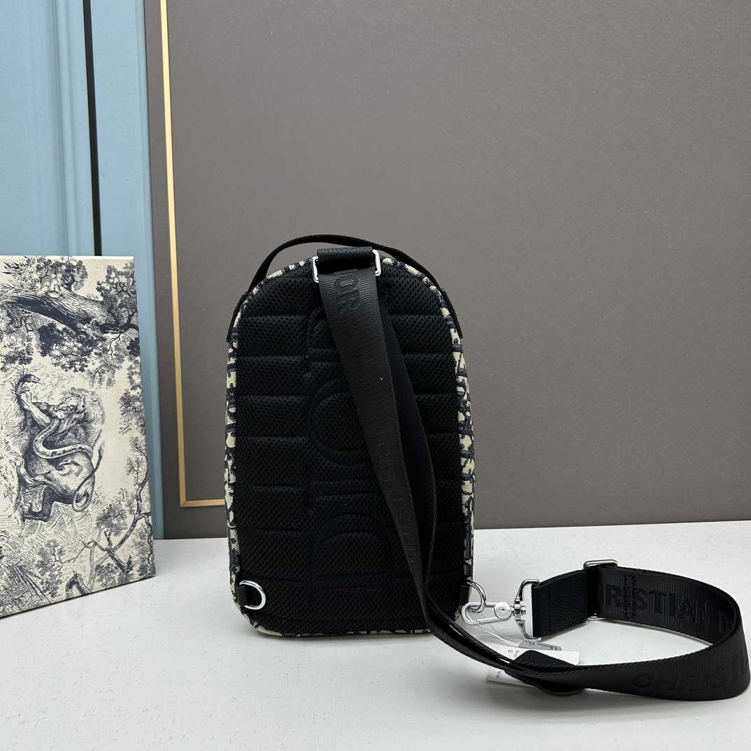 【DIOR 公式 旗艦店】ディオール リュックサック当日出荷 好評に付き再入荷！17*27*8cm