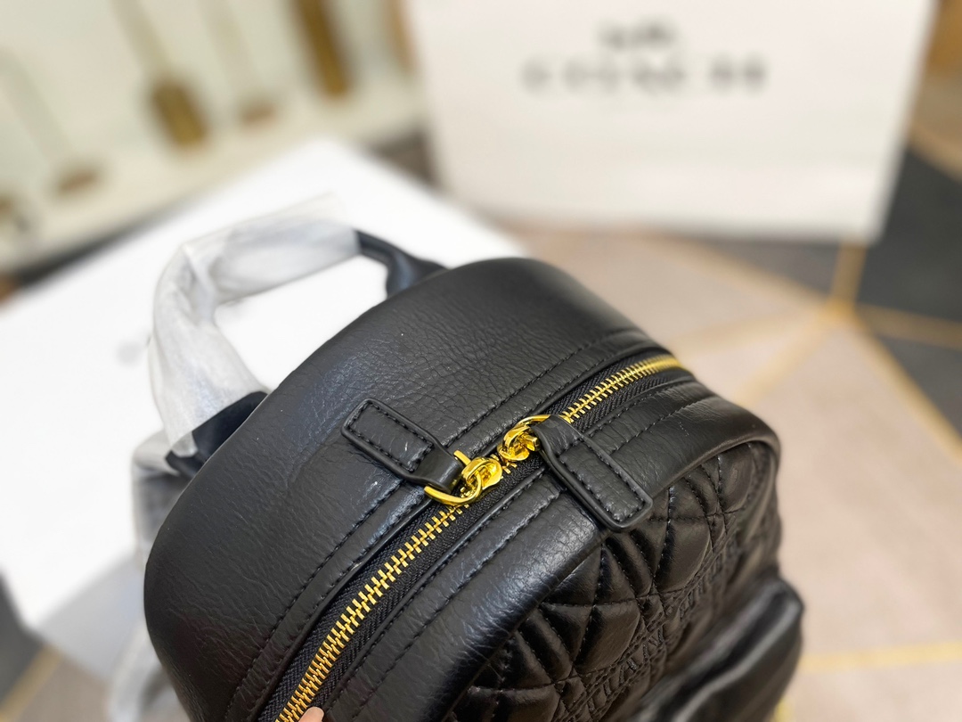 【2024】【DIOR  公式旗艦店】 ディオール リュックサック 当日出荷 好評に付き再入荷！26*30CM