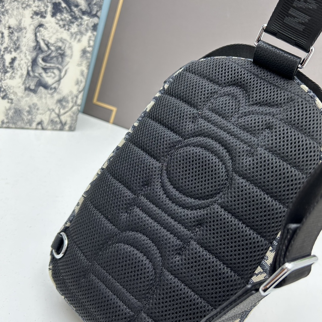 【DIOR 公式 旗艦店】ディオール リュックサック当日出荷 好評に付き再入荷！17*27*8cm