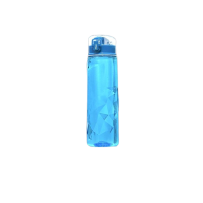 LUDAVI 經典彩鑽 700ML X1