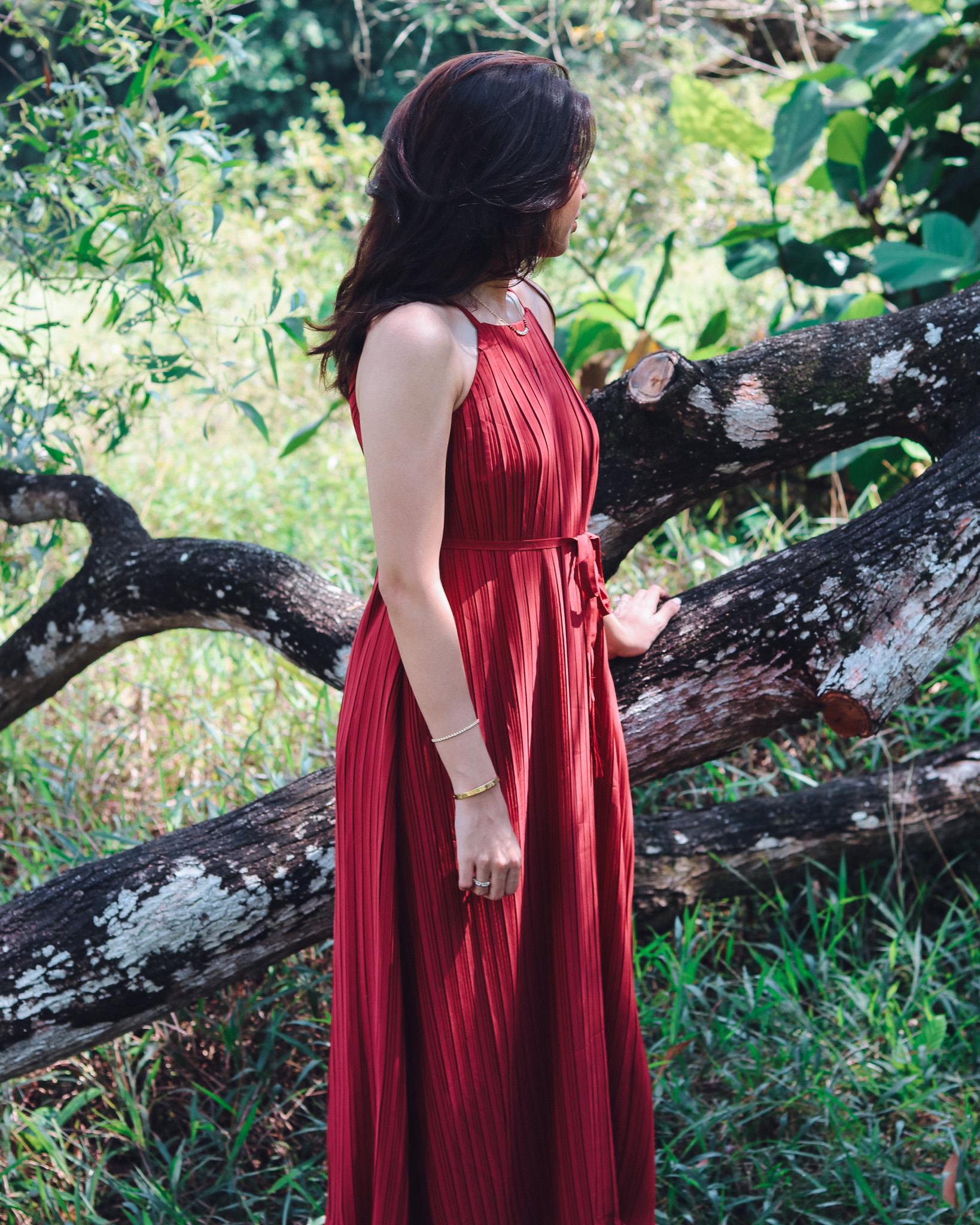 Jasmine Dress in Brick