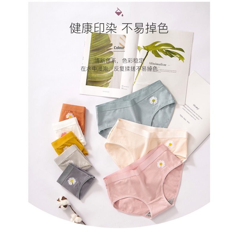 Stella Fashion Ladies Cotton Printed Small Daisy Mid -waist Triangle Girl Underwear Women’s Comfortable Cute Panties