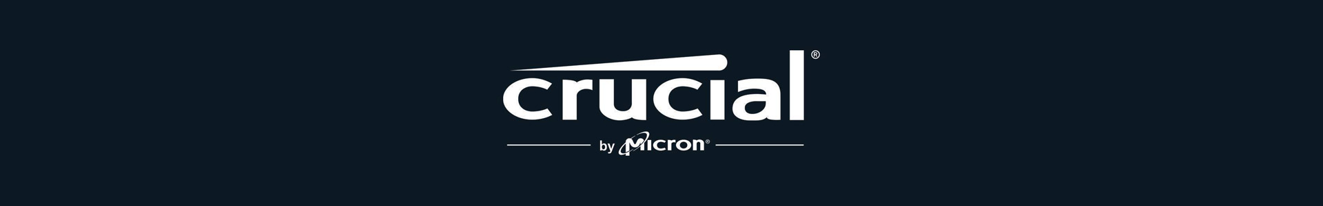 large-image-with-text-box