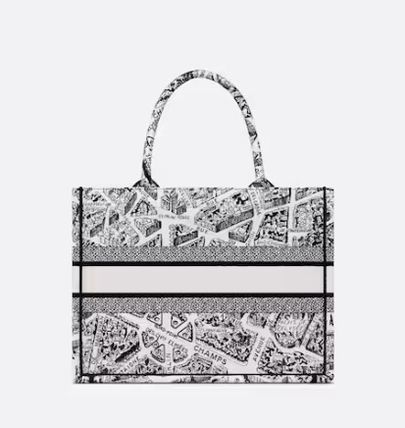 Dior トートバッグ 新作!即発!DIOR ブックトート ミディアムバッグ Plan de Paris(4)