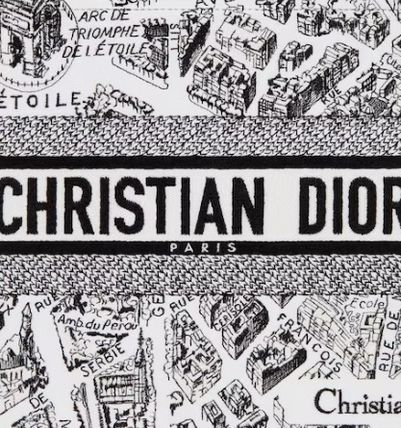 Dior トートバッグ 新作!即発!DIOR ブックトート ミディアムバッグ Plan de Paris(6)