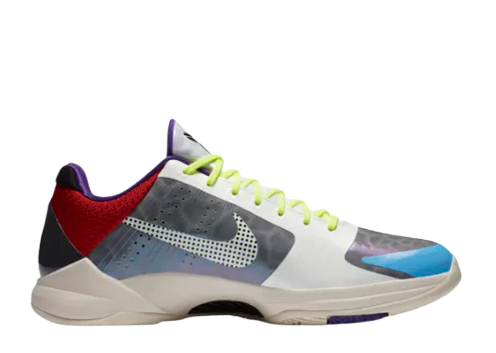weartesters kobe 5 protro