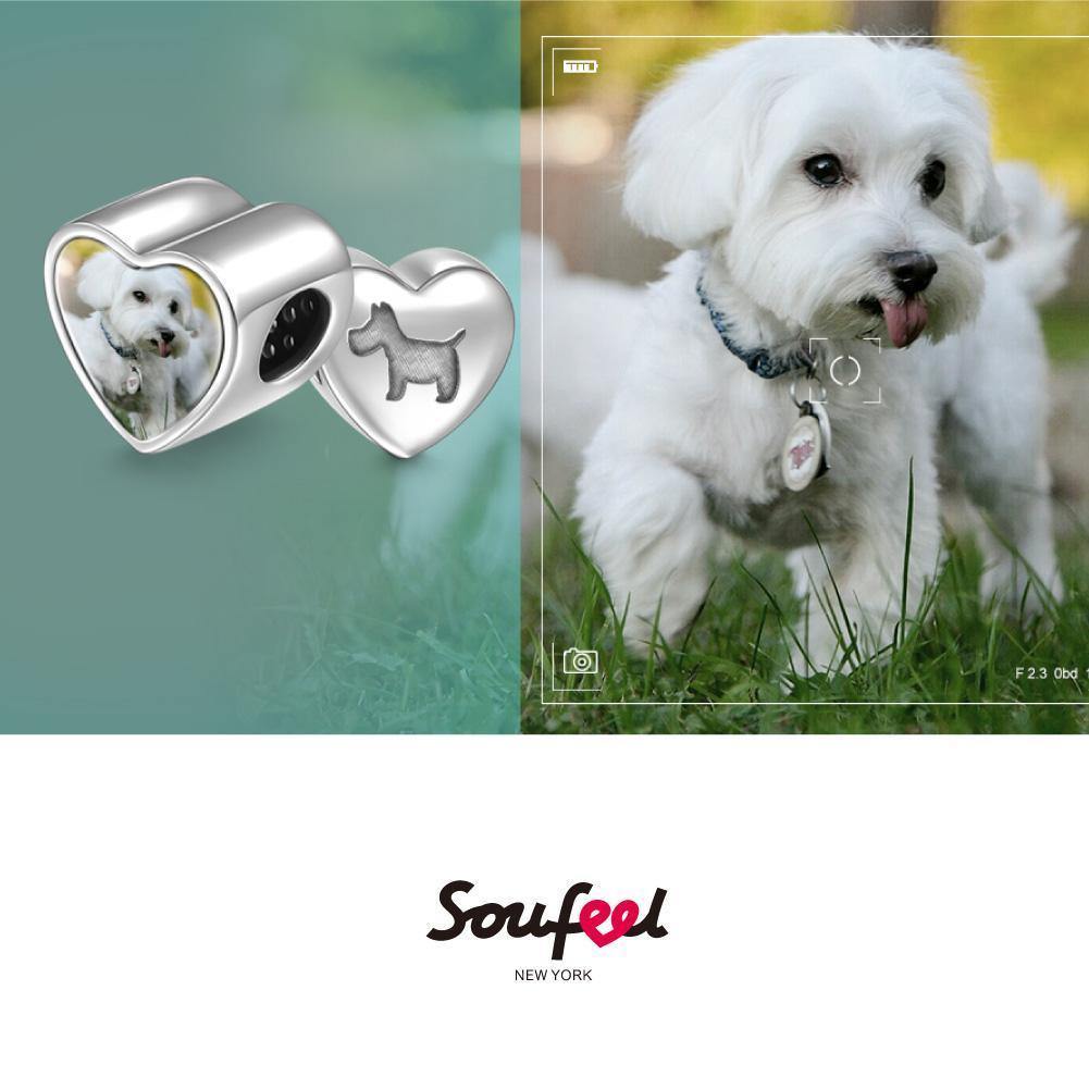 Pet Dog Heart Photo Charm Silver - soufeelus