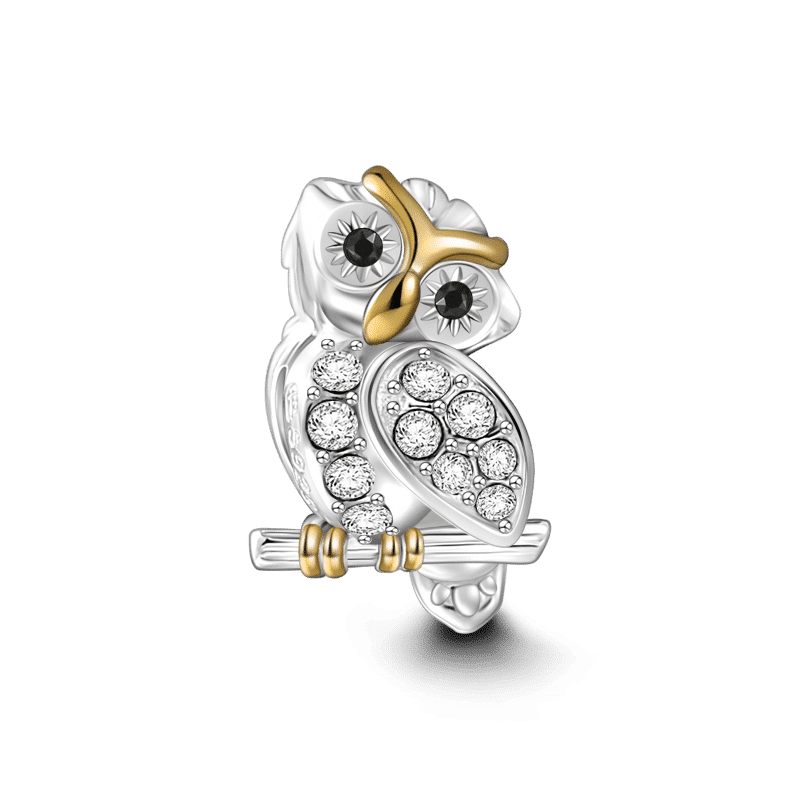 Wise Owl Charm 18k Gold Plated Silver - soufeelus