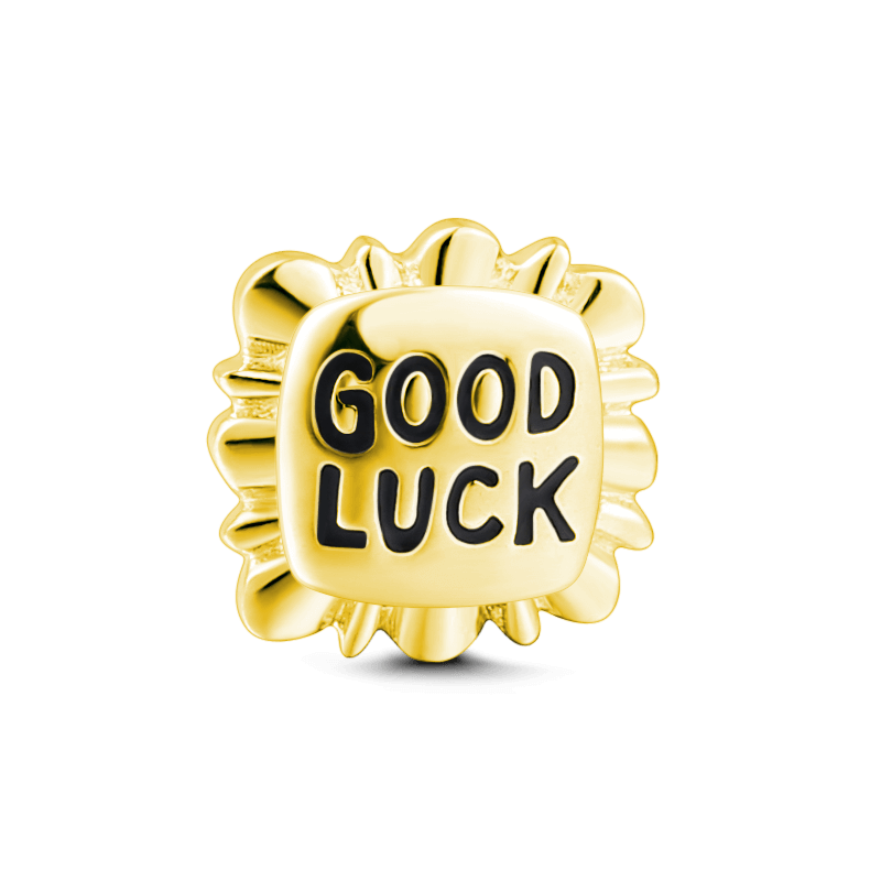 Good Luck Petite Locket Charm - soufeelus