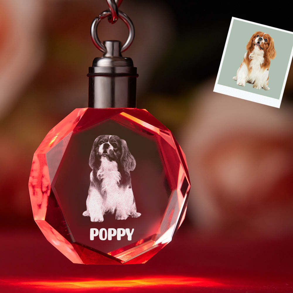 Custom Photo Crystal Keychain Pet Keepake Crystal Keychain Octagon Shape Photo Keychain -