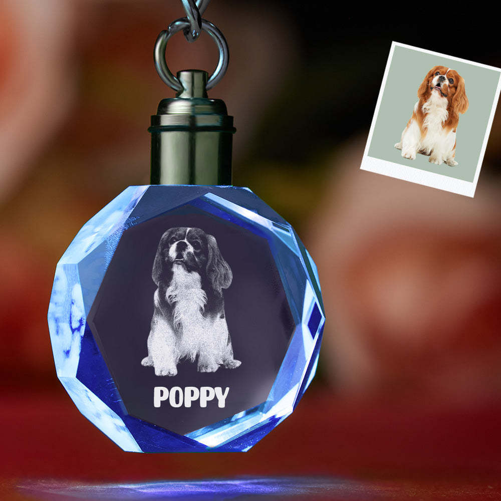 Custom Photo Crystal Keychain Pet Keepake Crystal Keychain  Octagon Shape Photo Keychain - 