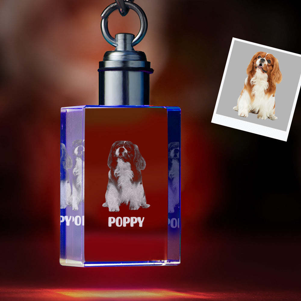 Custom Photo Crystal Keychain Pet Keepake Crystal Keychain Rectangle Shape Photo Keychain -