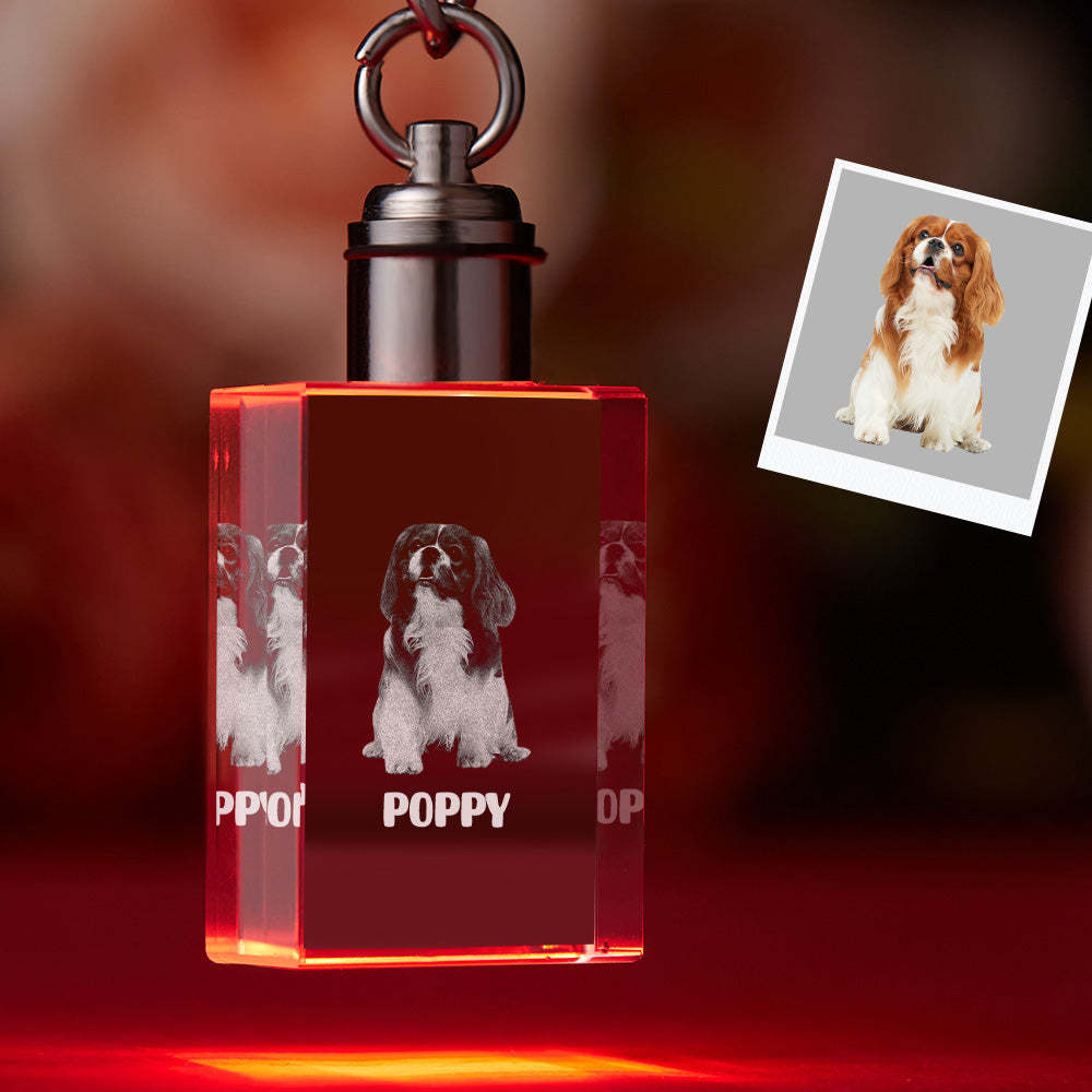 Custom Photo Crystal Keychain Pet Keepake Crystal Keychain  Rectangle Shape Photo Keychain - 