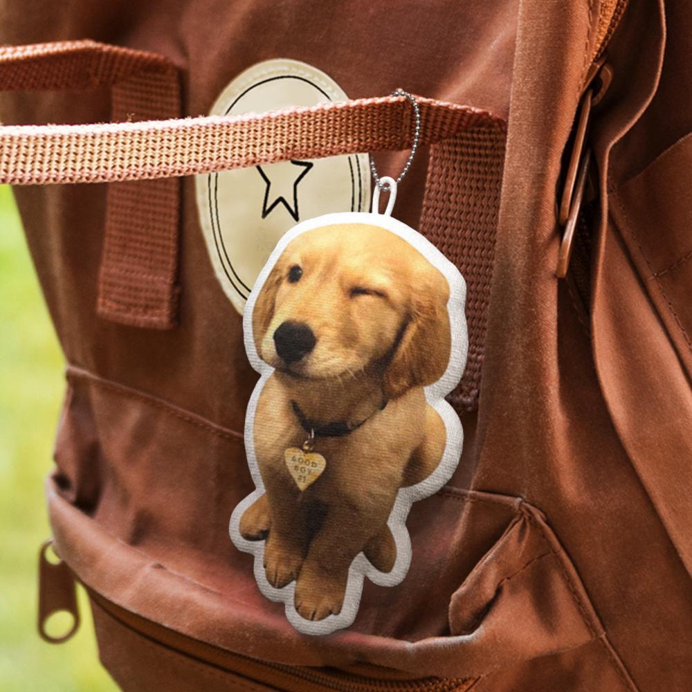 Custom MINIME Pet Pillow Keychain Name and Photo Keychains Gifts For Pet Lovers - soufeelmy