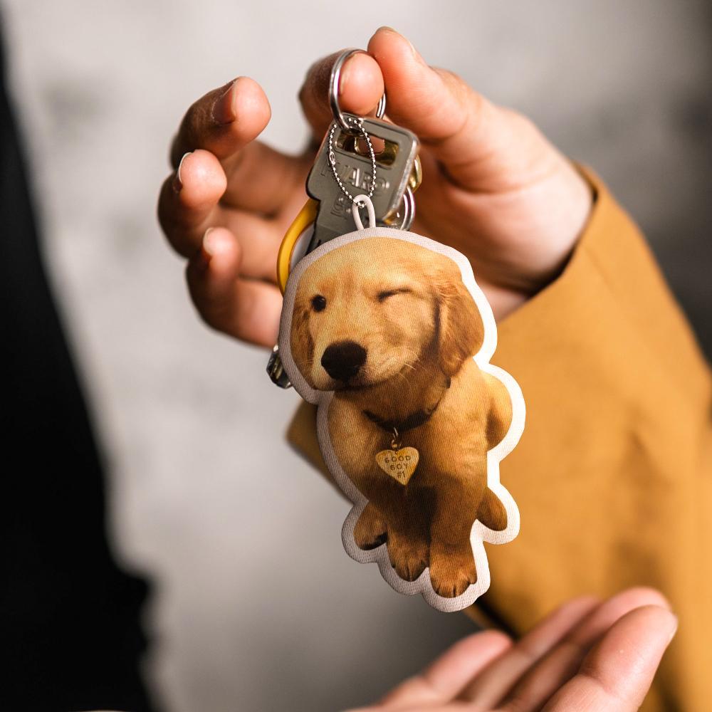 Custom MINIME Pet Pillow Keychain Name and Photo Keychains Gifts For Pet Lovers - soufeelmy
