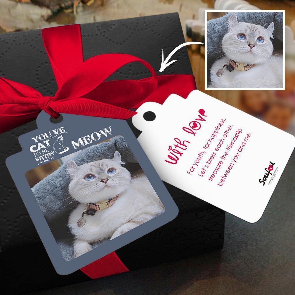 Photo Card Gift Card Memorial Gifts Greeting Card Congratulations Card Lovely Cat - 