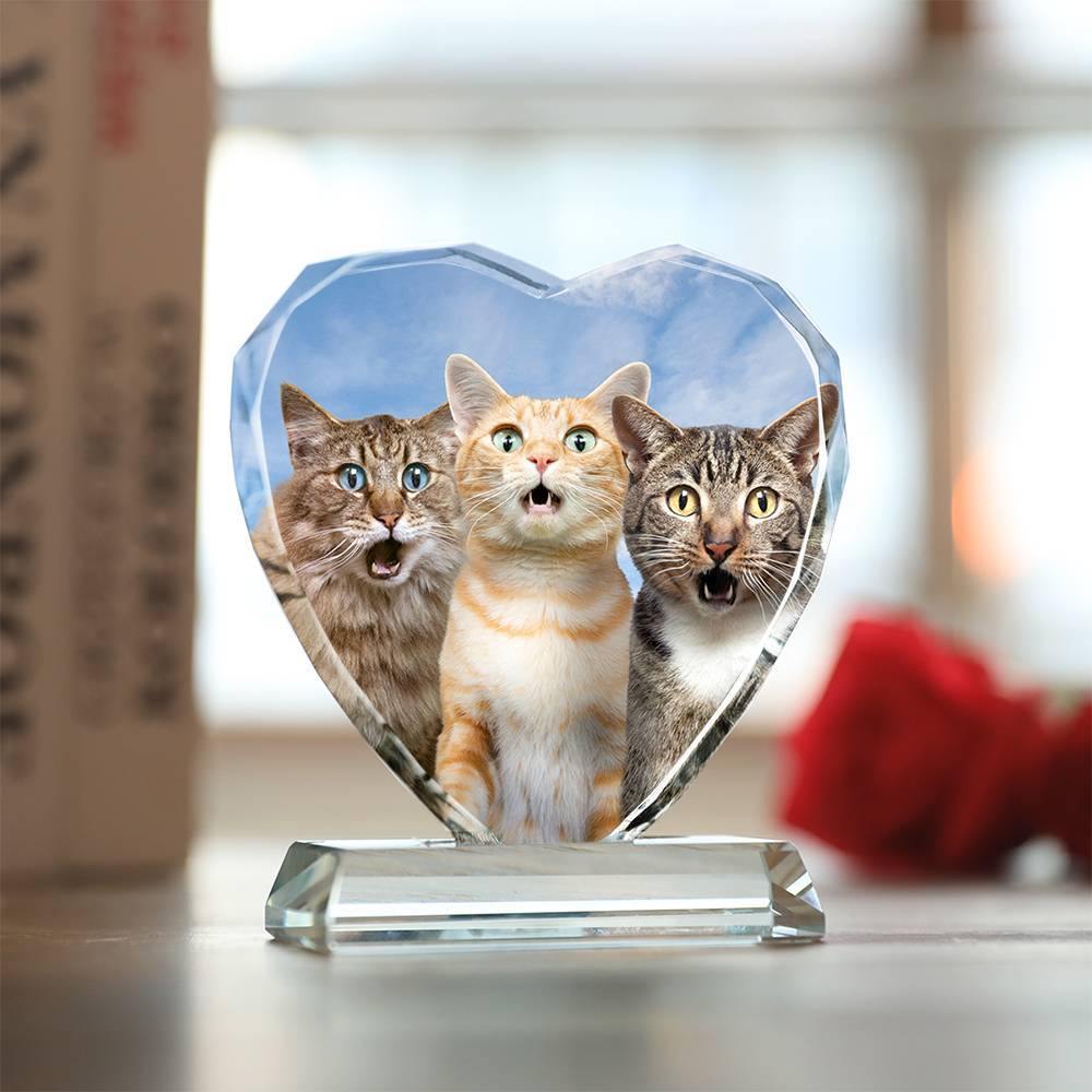Custom Crystal Photo Frame Heart Shape Illuminate Cute Pet - soufeelmy