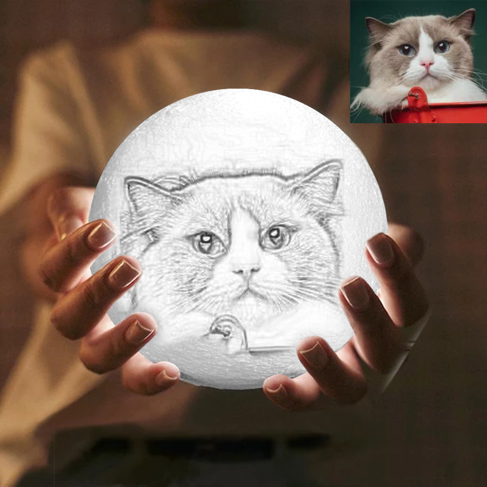 Photo Moon Lamp, Custom 3D Photo Light, Lamp Moon - Touch Two Colors 15cm - soufeelmy
