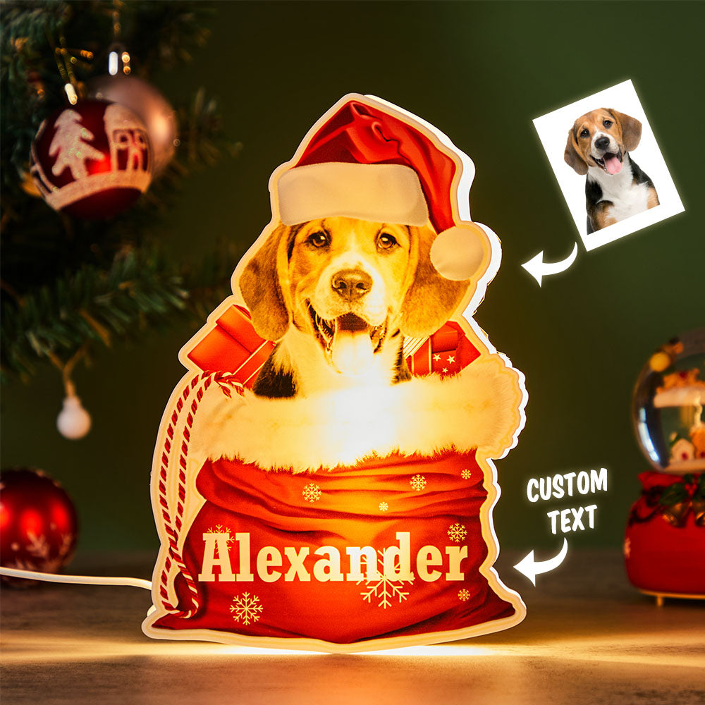 Personalized Pet Night Light Custom Photo Christmas Gift Basket Lamp - soufeelmy