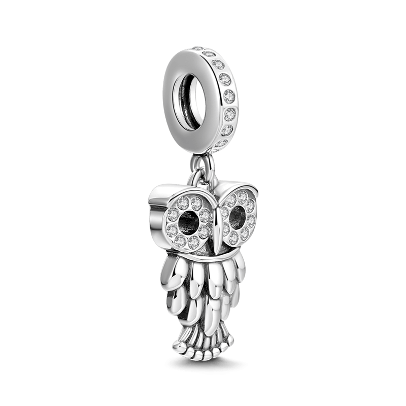 Sagacious Owl Charm Silver - soufeelus