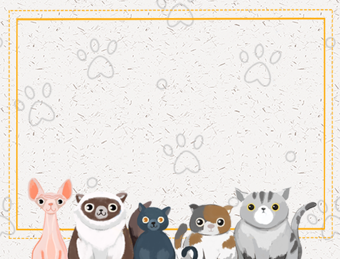 DIY Custom Greeting Card With Multiple Styles for Card Gifts