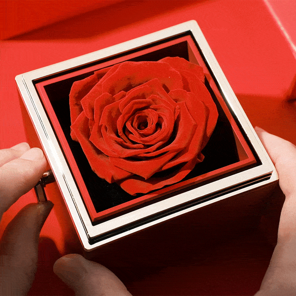 Eternal Rose Box & Photo Projection Couple Bracelet Braided Black Rope Bracelet Gift For Lovers - soufeelau