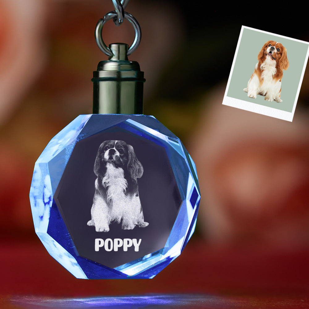 Custom Photo Crystal Keychain Pet Keepake Crystal Keychain  Octagon Shape Photo Keychain - soufeelau