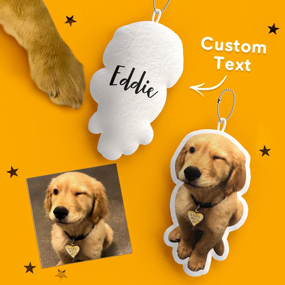 Custom MINIME Pet Pillow Keychain Name and Photo Keychains Gifts For Pet Lovers - soufeelau