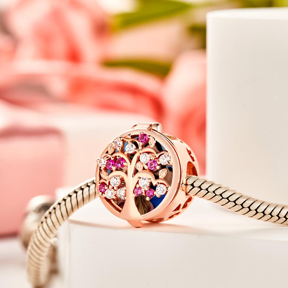 Custom Photo Charm Clamshell Rhinestone Hollow Exquisite Couple Gifts - soufeelau