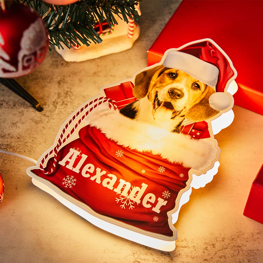 Personalized Pet Night Light Custom Photo Christmas Gift Basket Lamp - soufeelau