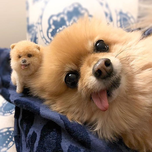 Custom Needle Felted Dog, Dog Sculpture Felted Pet Portrait, Gift for Pet Lovers with Free Exquisite Packaging Box