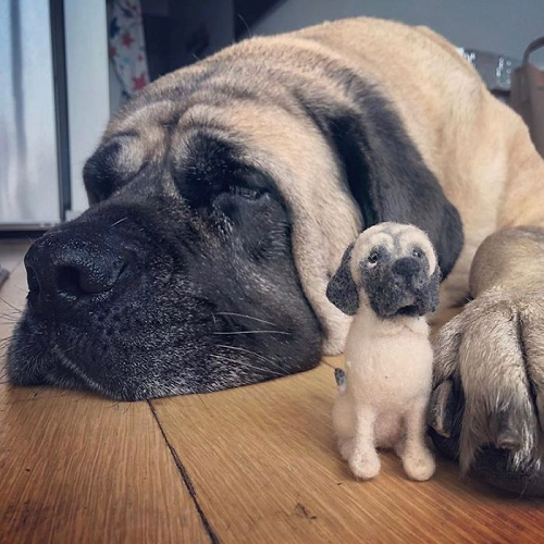Custom Needle Felted Dog, Dog Sculpture Felted Pet Portrait, Gift for Pet Lovers with Free Exquisite Packaging Box